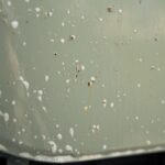 ad29b759d4d80fdbe61992df06be3240